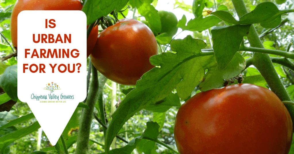 Chipppewa Valley Growers - Urban Farming