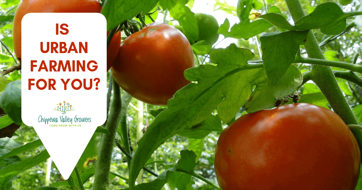 Chipppewa Valley Growers - Urban Farming