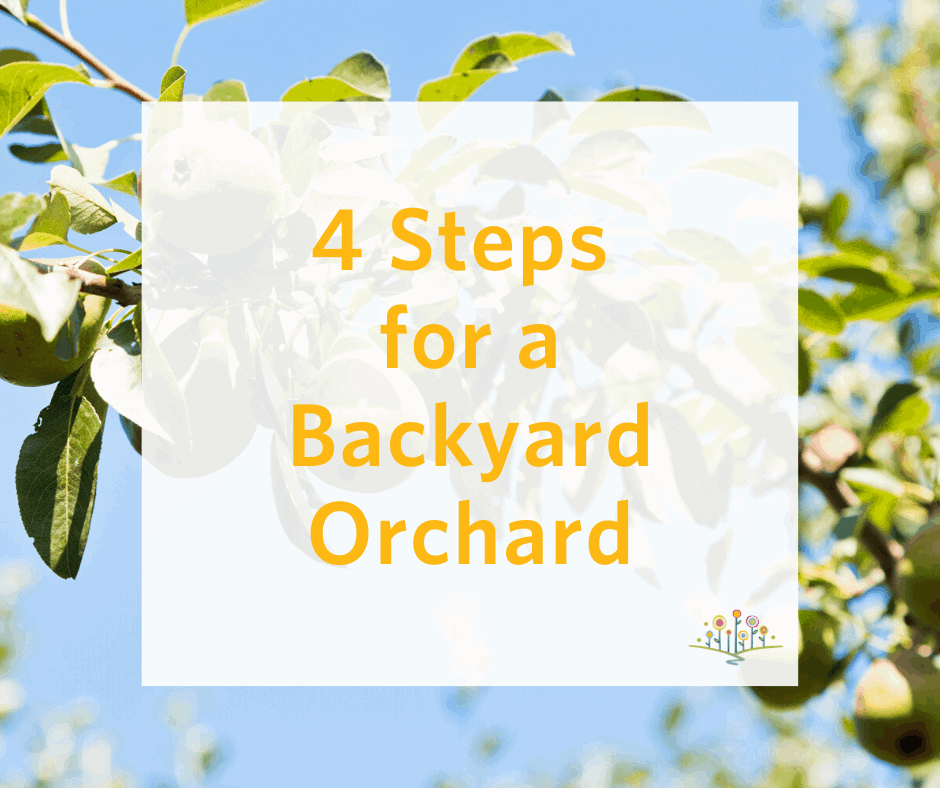 Orchard