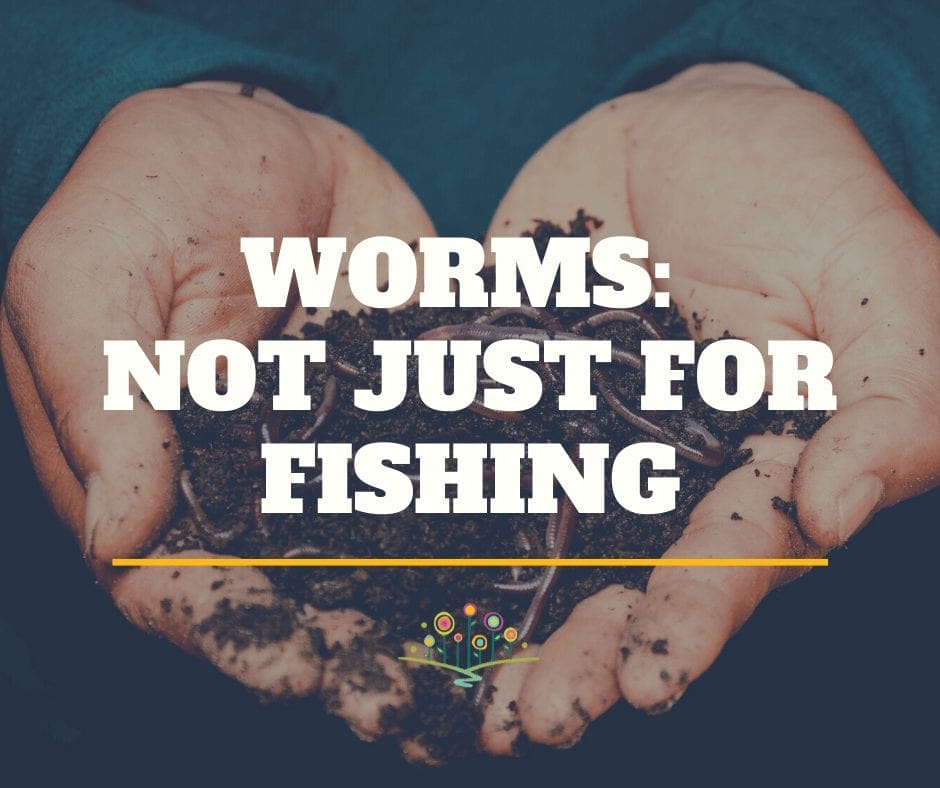 worms and dirt in hands