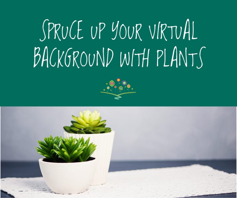 Spruce Up Your Virtual Background with Plants_fb