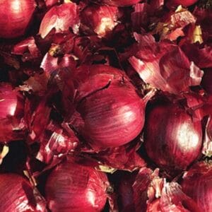 onion-set-red-karmen-0-75