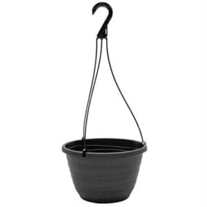 Bridal Veil Tahitian 11" Hanging Basket - Image 2