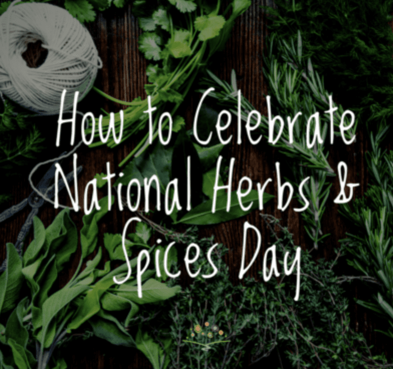 Screen Shot 2022-01-05 at 12.05.34 PM