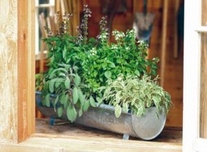 Class: Herb Container