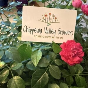 Gift Card $10