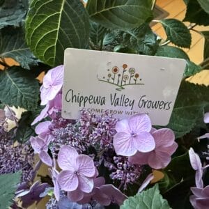 Gift Card $40
