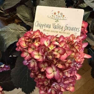 Gift Card $20