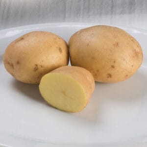 seed-potatoes-3-lb