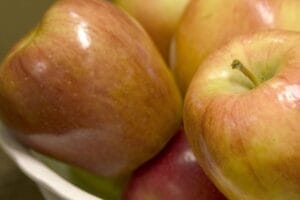 Apple Tree Honeycrisp #5