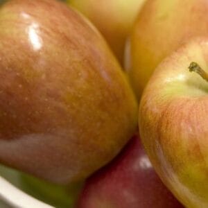 apple-tree-honeycrisp-5