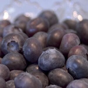 blueberry-northblue-5-5