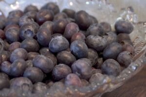 Blueberry Northcountry 5.5" Pot